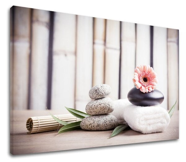 Tablou canvas FENG SHUI_053-11 - 20x30 cm