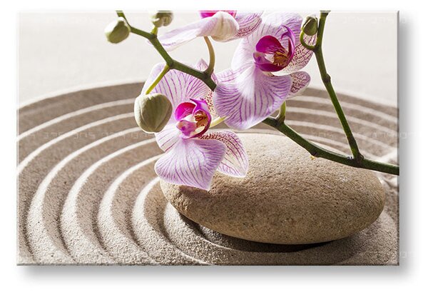 Tablou canvas FENG SHUI_050-11 - 20x30 cm