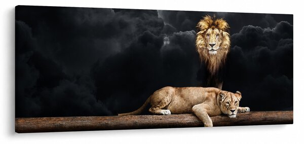 Tablou - Leu și leoaică (120x50 cm)