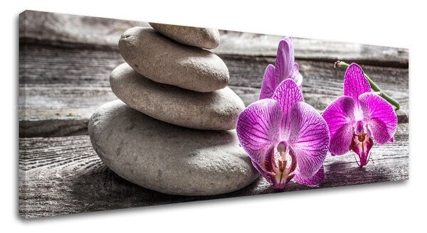 Tablou canvas FENG SHUI_060-13 - 20x60 cm