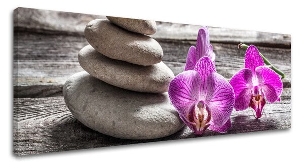 Tablou canvas FENG SHUI_060-13 - 20x60 cm