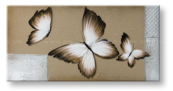 Tablou canvas MOTYLES 1 parte - 70x35 cm