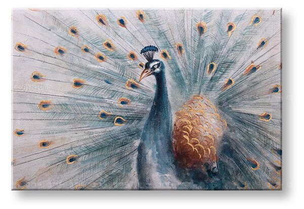 Tablou canvas PAV 1 parte - 60x40 cm