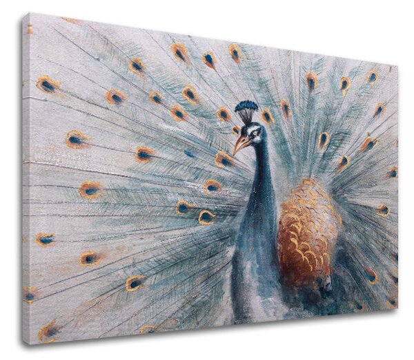 Tablou canvas PAV 1 parte - 60x40 cm