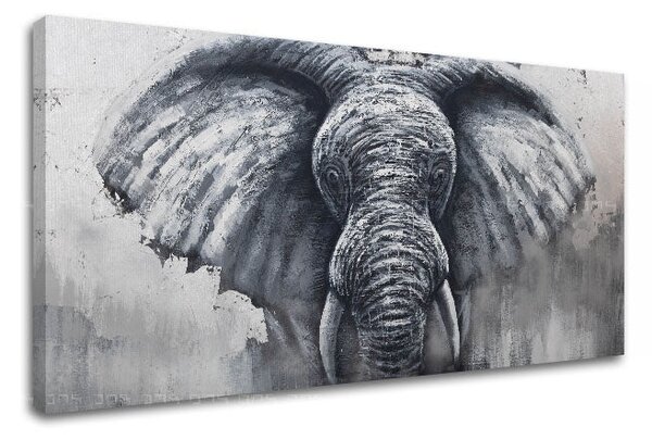 Tablou canvas SLON 1 parte XOBCH13AN0025SET-E1 - 80x40 cm