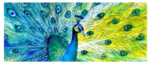 Tablou - Păun (120x50 cm)