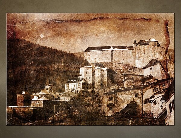 Orava / Tom Loris 018SK1 - 60x40 cm