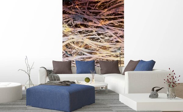 Fototapetă vlies fân abstract i. 150 x 250 cm