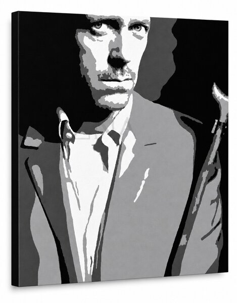 Tablou POP ART pictat manual Dr. HOUSE 1 bucată dh2 - 70x80 cm