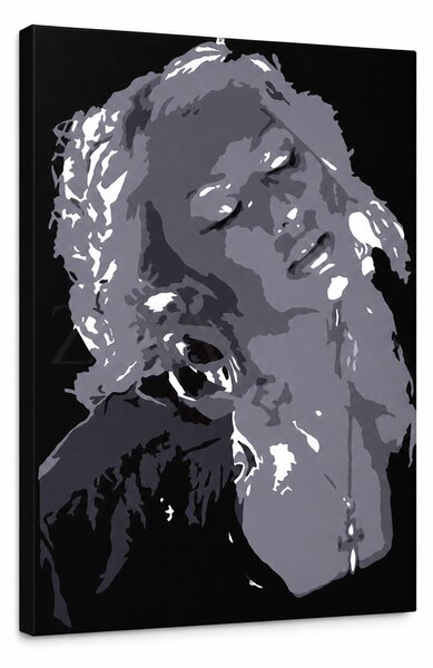 Pictate manual POP Art Christina Aguilera 1 buc ca - 30x40 cm