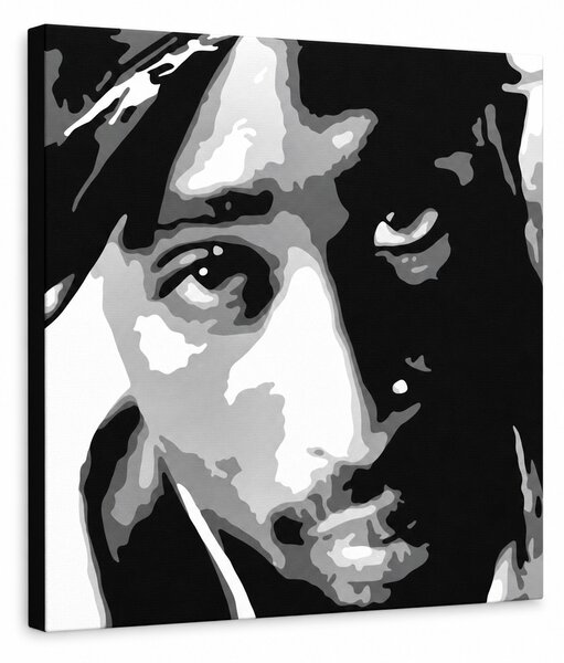 Tablou POP ART pictat manual 2 PAC 1 bucată 2pac - 50x50 cm