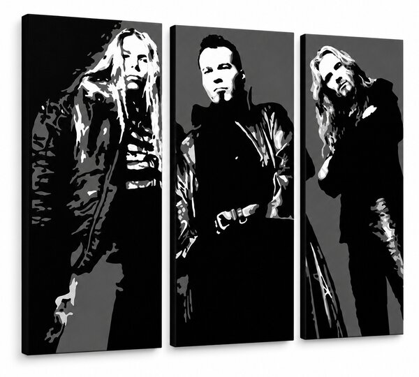 Tablou POP ART pictat manual Apocalyptica 3 parte apo - 60x40 cm