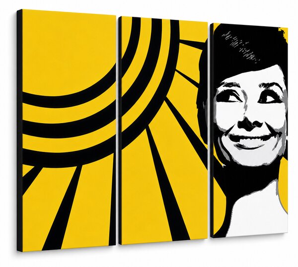 Tablou POP ART pictat manual Audrey HEPBHURN 3 bucăți ah2 - 60x40 cm