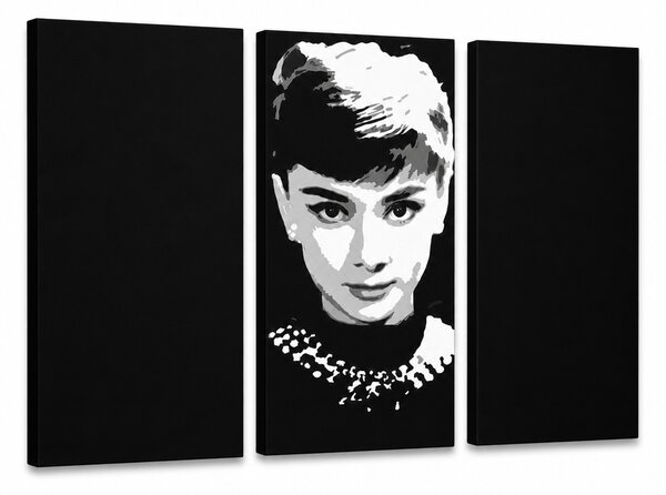 Tablou POP ART pictat manual Audrey HEPBHURN 3 bucată ah - 60x40 cm