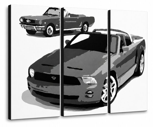 Tablou POP ART pictat manual FORD MUSTANG 3 bucăți fm2 - 60x40 cm