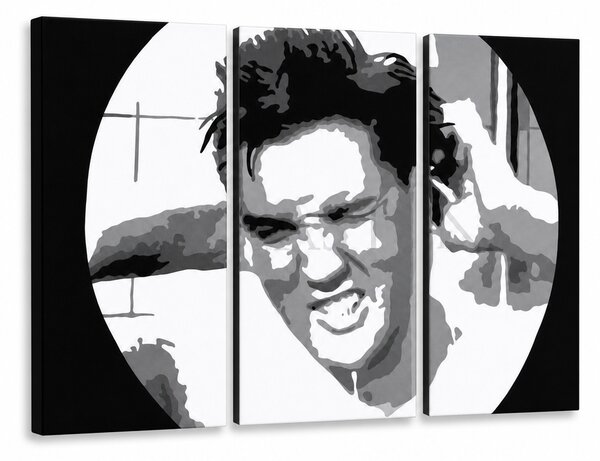 Tablou POP ART pictat manual ELVIS 3 bucăți el2 - 60x40 cm