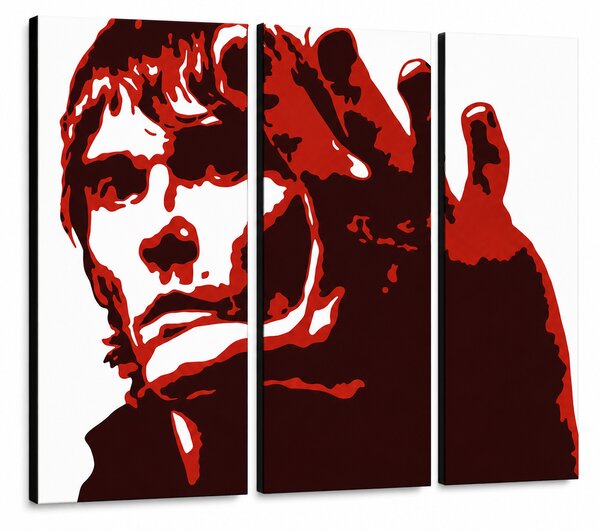 Tablou POP ART pictat manual Ian Brown 3 bucăți ib3 - 60x40 cm