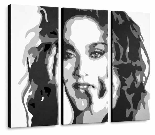 Tablou POP ART pictat manual MADONNA 3 bucăți ma3 - 60x40 cm