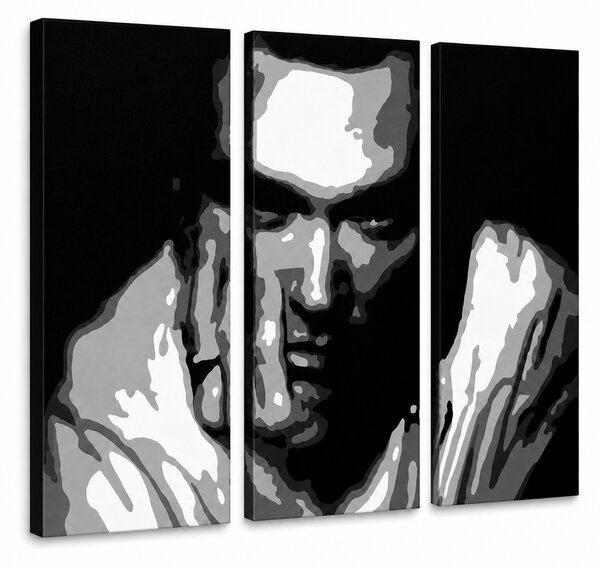 Tablou POP ART pictat manual Morrisey 3 bucăți ciumă - 60x40 cm
