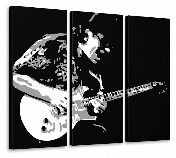 Tablou POP ART pictat manual Santana 3 bucăți san - 60x40 cm