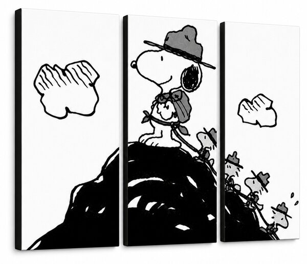 Tablou POP ART pictat manual SNOOPY 3 buc snoopy2 - 60x40 cm