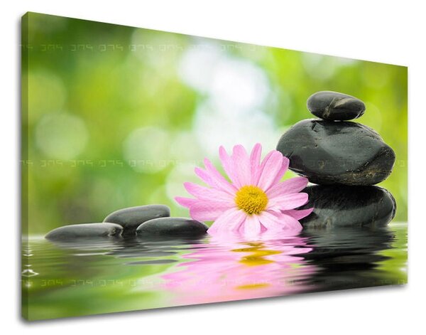 Tablou de perete FENG SHUI - 20x30 cm