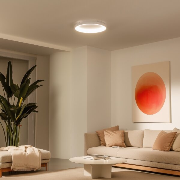 Brilagi - Plafonieră LED dimabilă FALCON SLIM, 42 W, 230 V, diametru 50 cm, albă + telecomandă