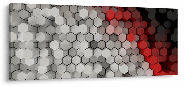 Tablou - 3D hexagoane (120x50 cm)