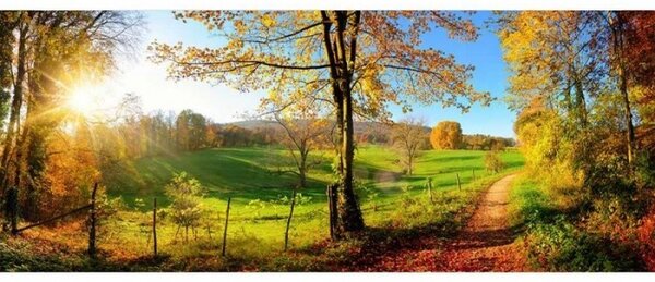 Fototapet panoramic vlies cu pajiște 375 x 150 cm