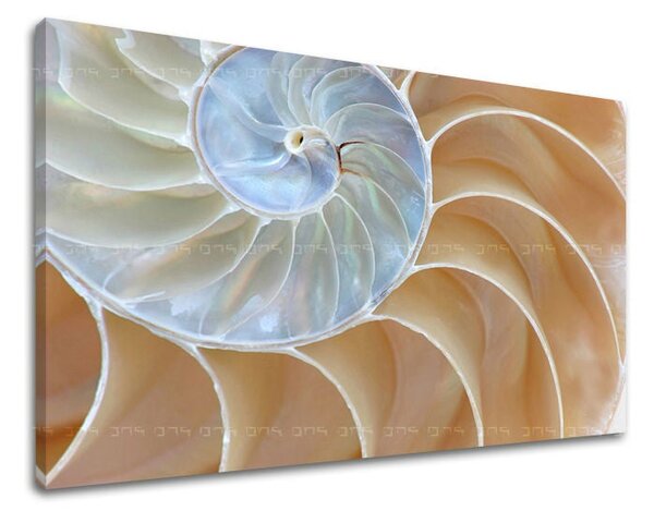 Tablou de perete ABSTRACT - 20x30 cm