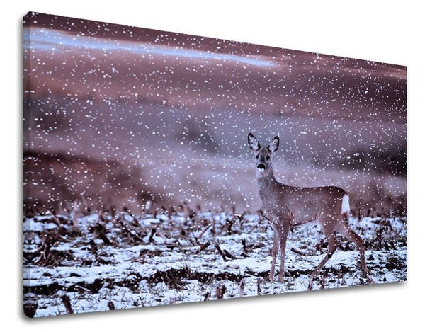 Tablou de perete ANIMALE - 20x30 cm