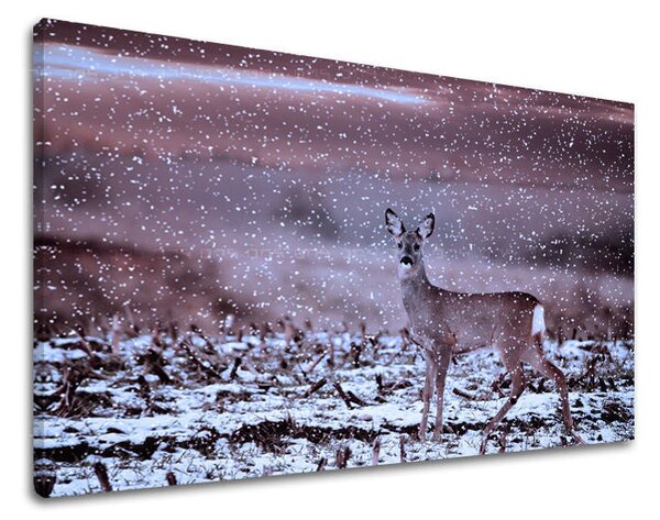 Tablou de perete ANIMALE - 20x30 cm
