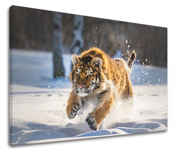 Tablou de perete ANIMALS_048-11 - 20x30 cm