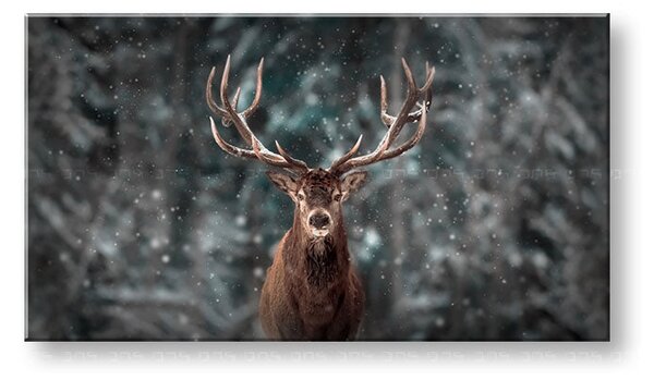 Tablou de perete ANIMALS_052-11 - 30x60 cm