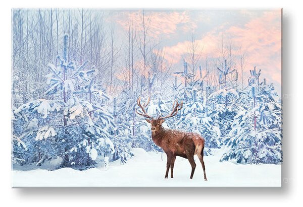 Tablou de perete ANIMALS_053-11 - 20x30 cm