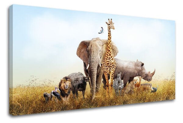 Tablou de perete ANIMALS_050-11 - 30x60 cm