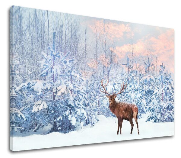 Tablou de perete ANIMALS_053-11 - 20x30 cm