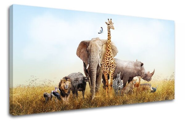 Tablou de perete ANIMALS_050-11 - 30x60 cm