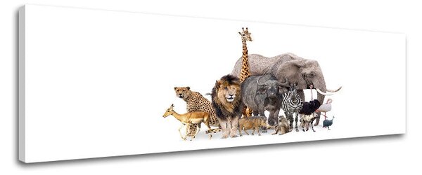 Tablou de perete ANIMALS_051-13 - 20x60 cm