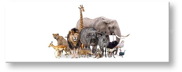 Tablou de perete ANIMALS_051-13 - 20x60 cm