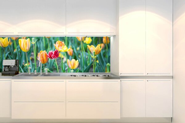 Fototapet pentru bucătărie - lalele 180 x 60 cm