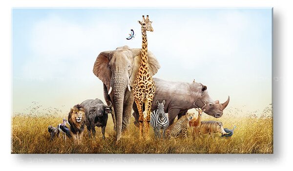 Tablou de perete ANIMALS_050-11 - 30x60 cm