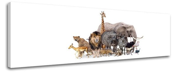 Tablou de perete ANIMALS_051-13 - 20x60 cm