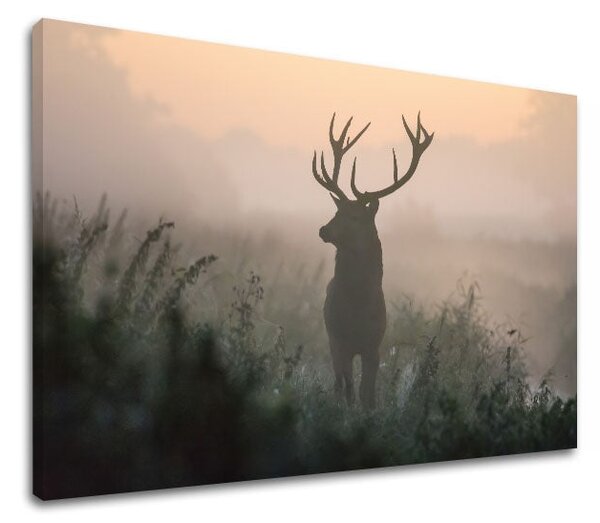 Tablou de perete ANIMALS_054-11 - 20x30 cm