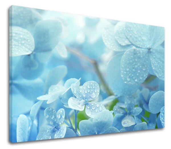 Tablou de perete BLUE FLOWERS_152-11 - 20x30 cm