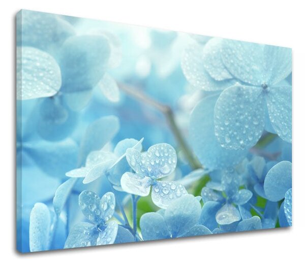 Tablou de perete BLUE FLOWERS_152-11 - 20x30 cm