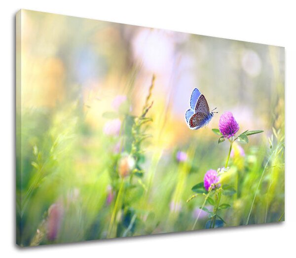 Tablou de perete COLORFUL FLOWERS_161-11 - 20x30 cm
