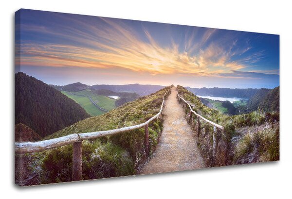 Tablou de perete COUNTRY_058-11 - 30x60 cm