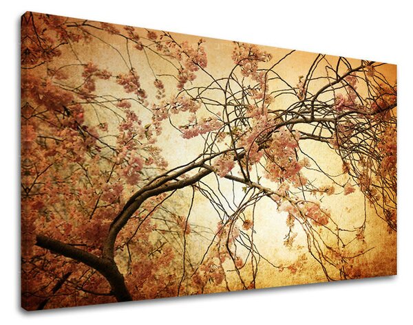 Tablou de perete FLORI - 20x30 cm
