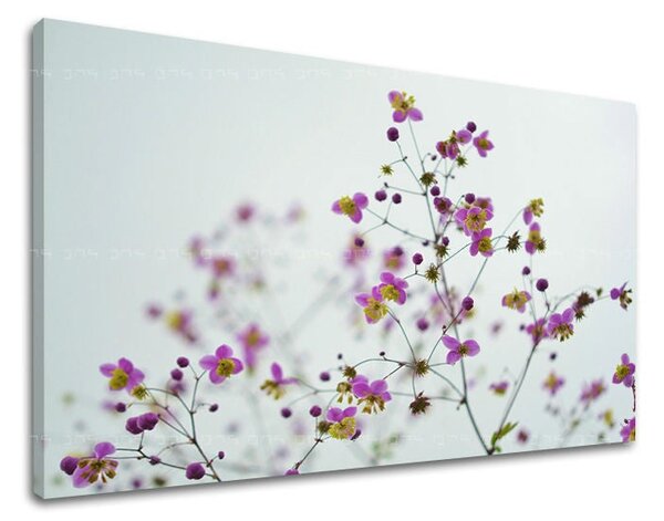 Tablou de perete FLORI - 20x30 cm